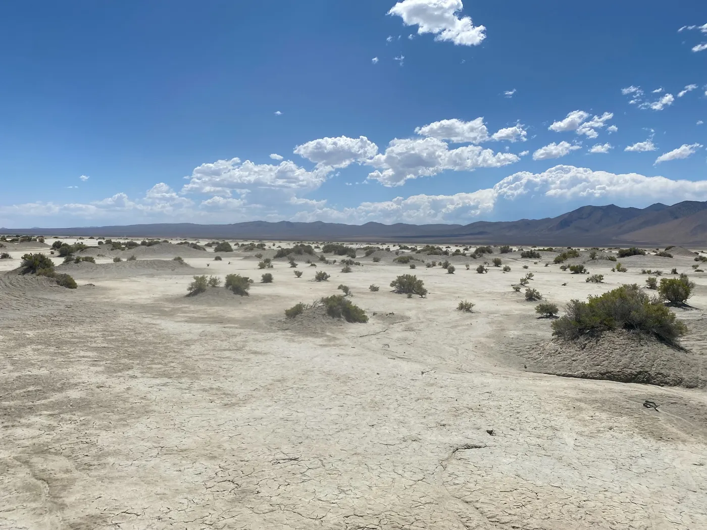 Sagebrush and dry clay flats below a mountain range in Nevada